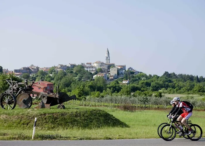 Haus Liliana 게스트하우스 Tar-Vabriga